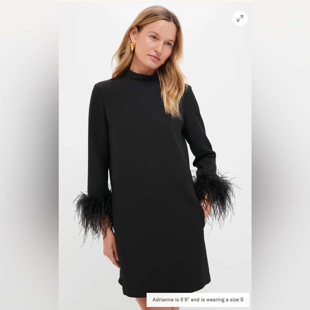 Tuckernuck Black Feather Mod Ellie Dress